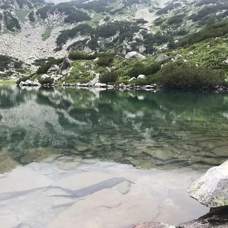 Tal Bansko